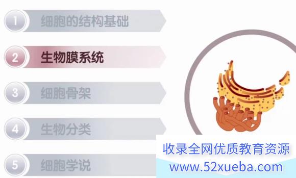 张鹏2024年高考生物全程班一轮暑秋联报持续更新 张鹏高考生物百度网盘下载-