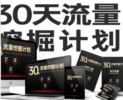 王六六流量挖掘_30天流量挖掘计划-吾爱学吧