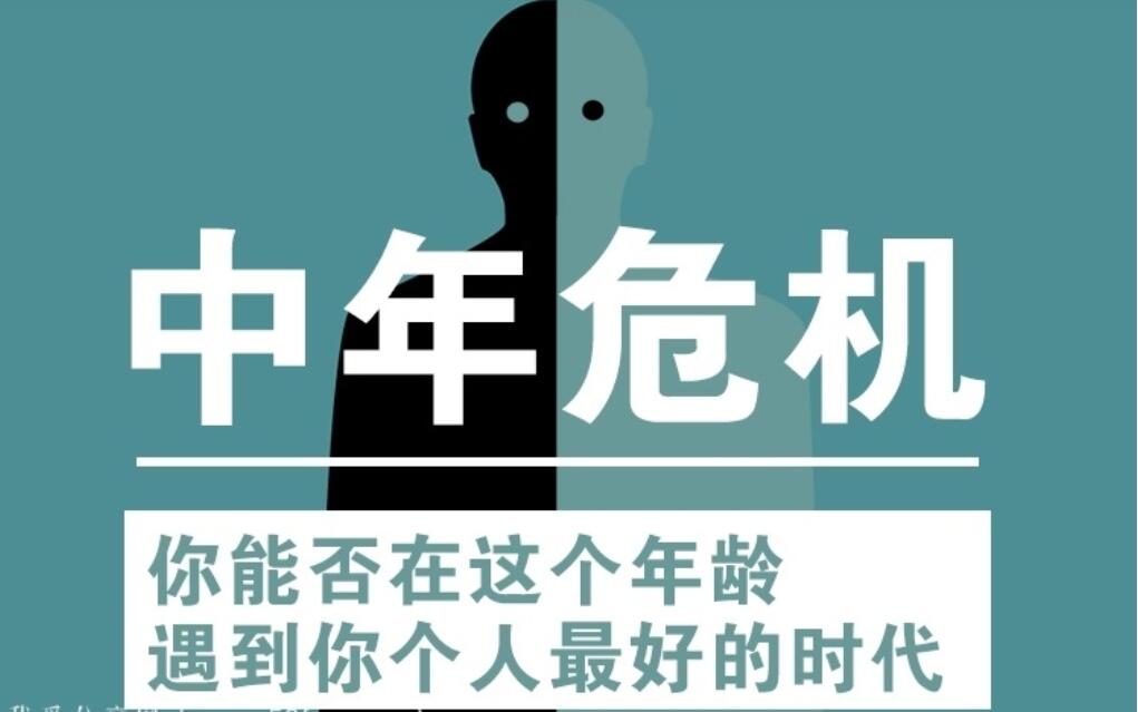 施琪嘉：心理学家告诉你中年危机如何度过（百度云）-吾爱学吧