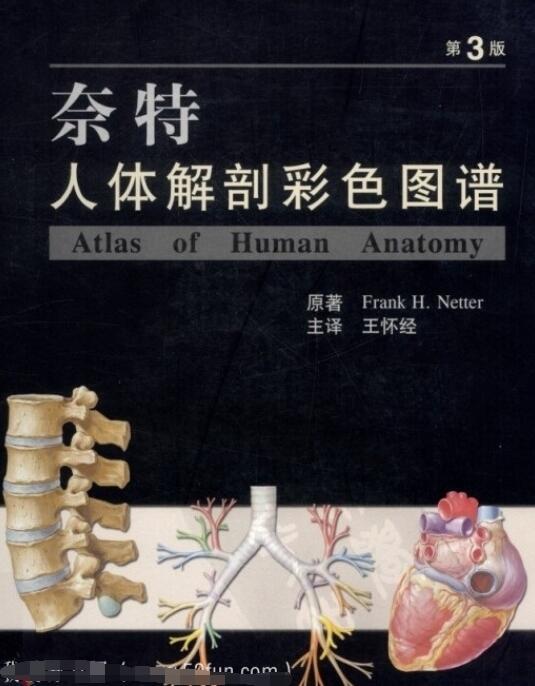 奈特人体解剖彩色图谱（第三版）PDF网盘-吾爱学吧