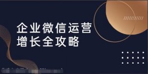 企业微信运营方案ppt，企业微信运营增长全攻略，引流 裂变 运营 成交（16节体系课）-吾爱学吧