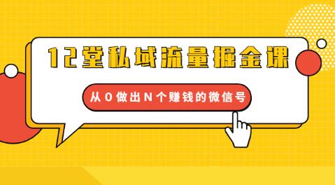 私域流量掘金课：打通私域流量关卡从０做出Ｎ个赚钱的微信号（12节）-吾爱学吧