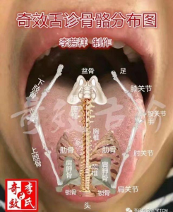 李芳祥舌诊高清视频合集：奇效舌诊-吾爱学吧