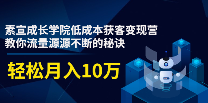 素宣成长学院：低成本获客变现营，教你流量源源不断的秘诀-吾爱学吧