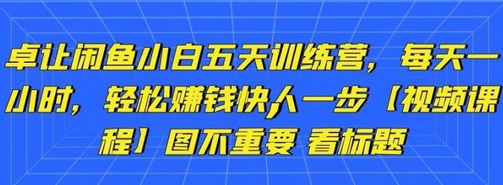 卓让闲鱼小白五天训练营：每天一小时，轻松赚钱快人一步-吾爱学吧