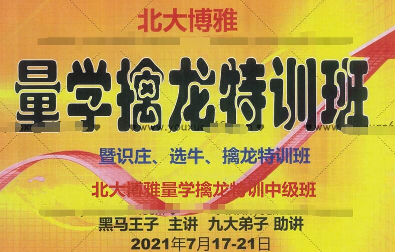 黑马王子·量学擒龙涨停中级特训班2021年7月(音频+讲义)-吾爱学吧