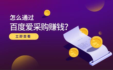 年销量200万+的百度爱采购赚钱方法（大王）-吾爱学吧