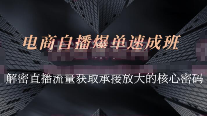 网川教育·兴趣电商团队自播成长营课程-吾爱学吧