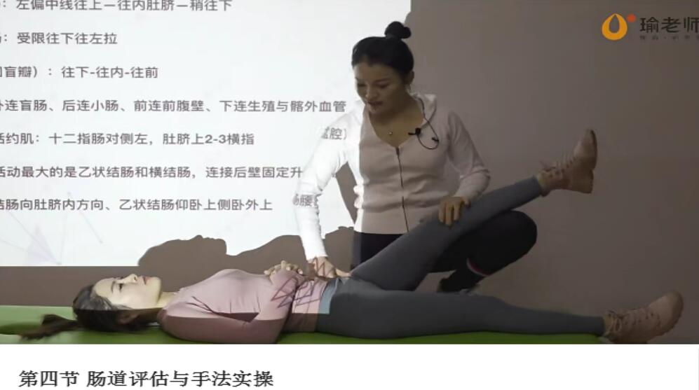 瑜老师·张美玲：内脏筋膜实操手法精讲系统课程-吾爱学吧