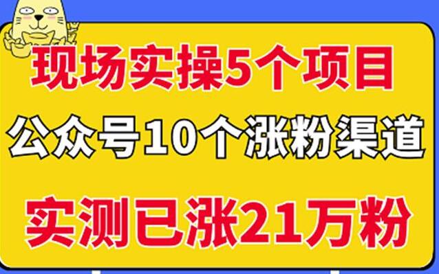 公众号赚钱项目教程：实操5个公众号项目+10个涨粉渠道实测涨21万粉-吾爱学吧