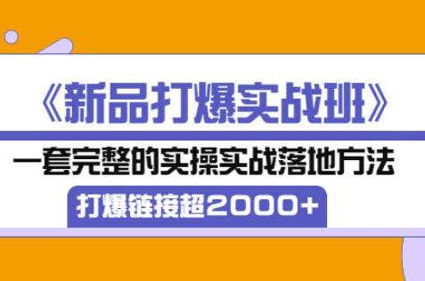 凌童电商·新品打爆实战班,一套完整的实操实战落地方法（28节课)-吾爱学吧