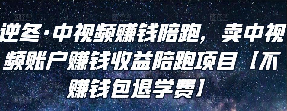 逆冬中视频赚钱陪跑项目课程-吾爱学吧