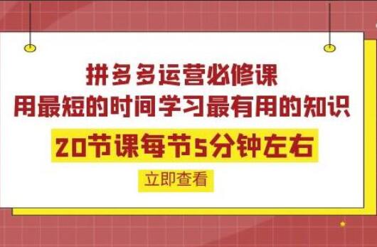 拼多多运营培训课程(百度网盘)-吾爱学吧