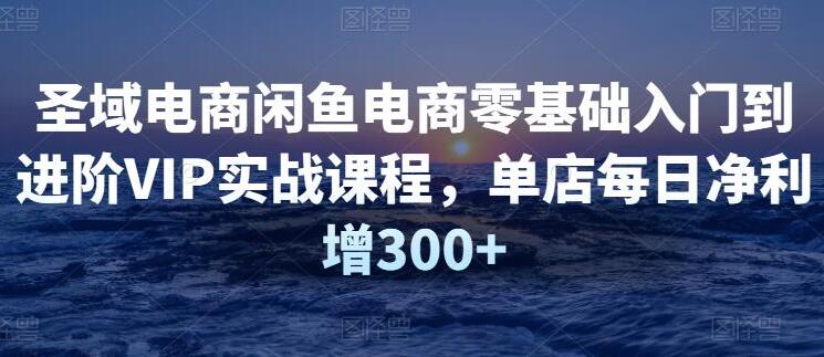 圣域电商·闲鱼电商零基础到进阶VIP实战课程-吾爱学吧