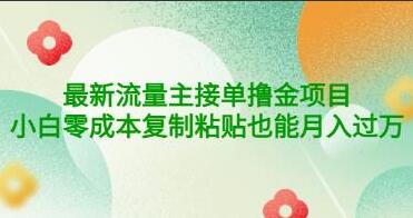 公众号最新流量主接单撸金项目，小白零成本复制粘贴也能月入过万-吾爱学吧