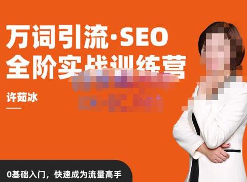 许茹冰·万词引流SEO全阶实战训练营-吾爱学吧