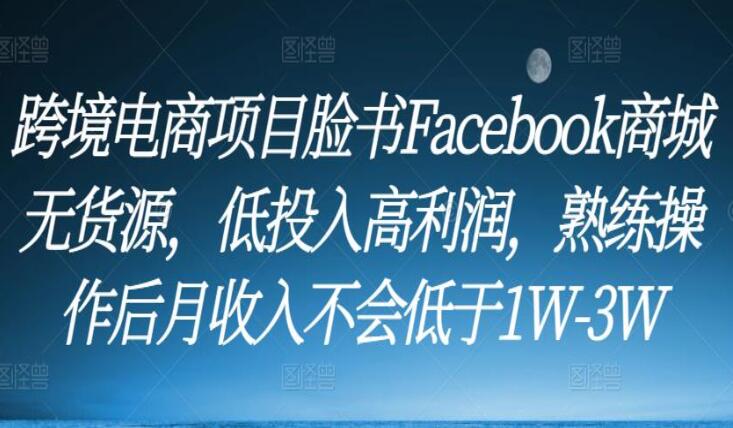 脸书Facebook商城无货源跨境电商项目教程（月收入1W-3W）-吾爱学吧