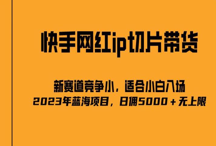 快手网红IP切片蓝海项目教程，号称日入5000+（2023最新）-吾爱学吧