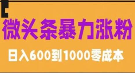 微头条暴力涨粉技巧搬运课程，简单0成本，日赚600【揭秘】-吾爱学吧