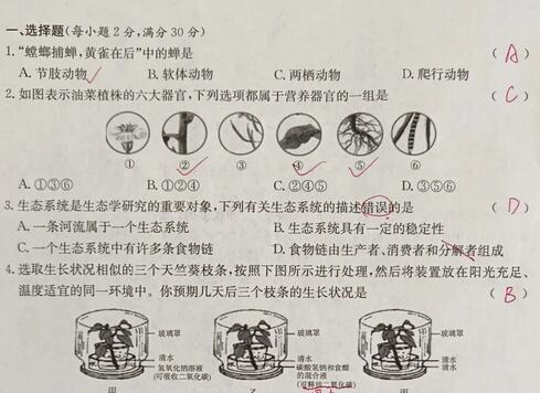 初中各科期末真题卷合集（1000张）-吾爱学吧