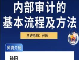 中华会计网校孙阳：内部审计方法及流程（视频）-吾爱学吧