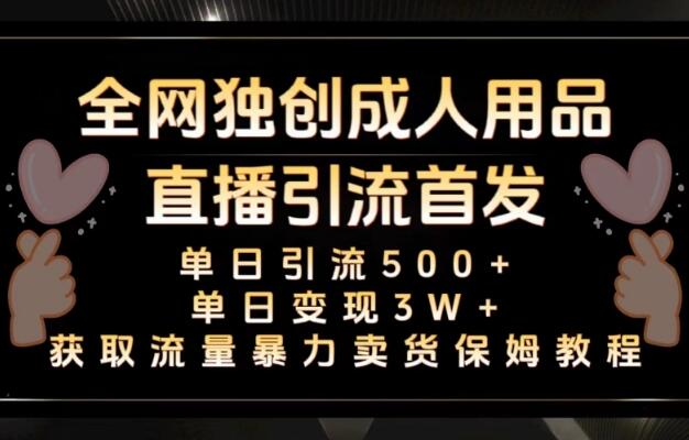 成人用品真人主播+无人直播教程，卖货单日变现3W+【揭秘】-吾爱学吧