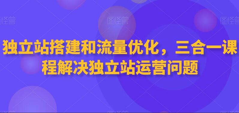 外贸独立站搭建+谷歌SEO教程，三合一课程解决独立站运营问题-吾爱学吧