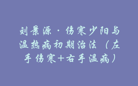 刘景源·伤寒少阳与温热病初期治法（左手伤寒+右手温病）-吾爱学吧