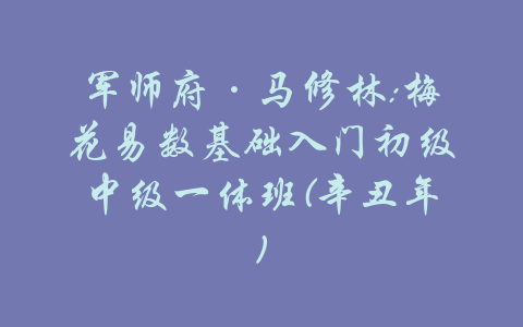 军师府·马修林:梅花易数基础入门初级中级一体班(辛丑年)-吾爱学吧