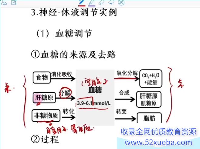 毛慧2024高考生物一轮复习暑秋联报持续更新 毛慧生物百度网盘下载-