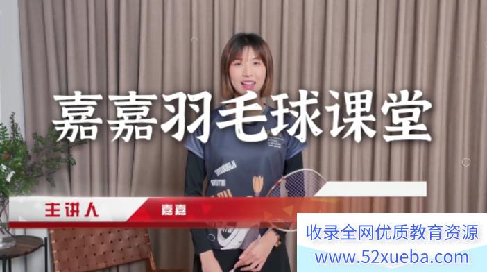 嘉嘉成人羽毛球基础进阶三合一教学视频精品课程